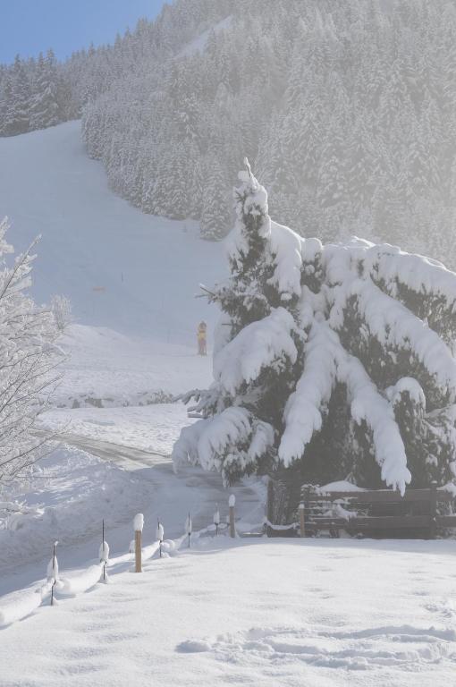 La Foret De Maronne La Garde  ภายนอก รูปภาพ