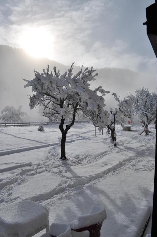 La Foret De Maronne La Garde  ภายนอก รูปภาพ